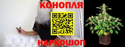PSILOCYBIN Партизанск