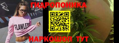 PSILOCYBIN Партизанск