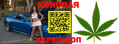 PSILOCYBIN Партизанск